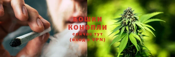 гидропоника Снежногорск