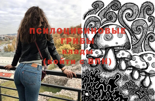 гидропоника Снежногорск