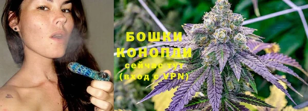 гидропоника Снежногорск