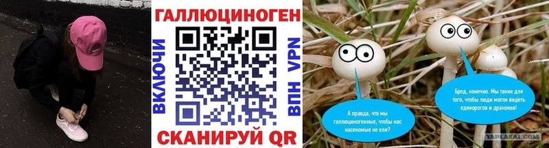 Псилоцибиновые грибы Cubensis Питкяранта