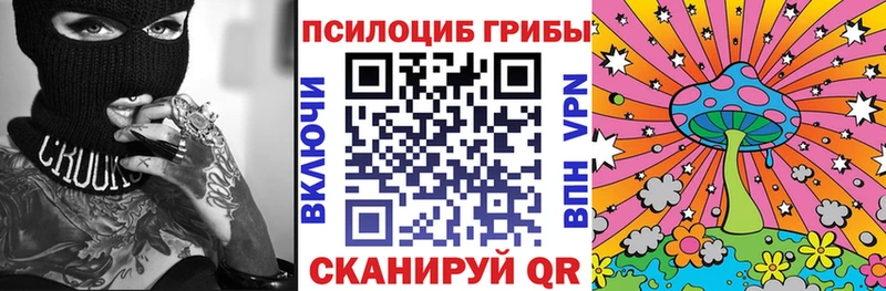Псилоцибиновые грибы Psilocybe  Купить  Питкяранта 